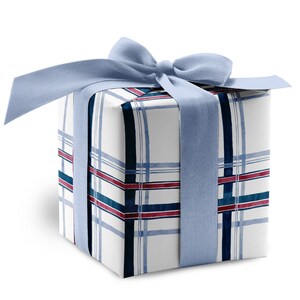 Pu&ograve; includere: Una scatola regalo avvolta in carta bianca con un motivo a quadri blu, rosso e nero. La scatola &egrave; legata con un nastro blu chiaro.