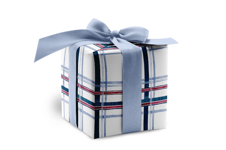 Pu&ograve; includere: Una scatola regalo avvolta in carta bianca con un motivo a quadri blu, rosso e nero. La scatola &egrave; legata con un nastro blu chiaro.