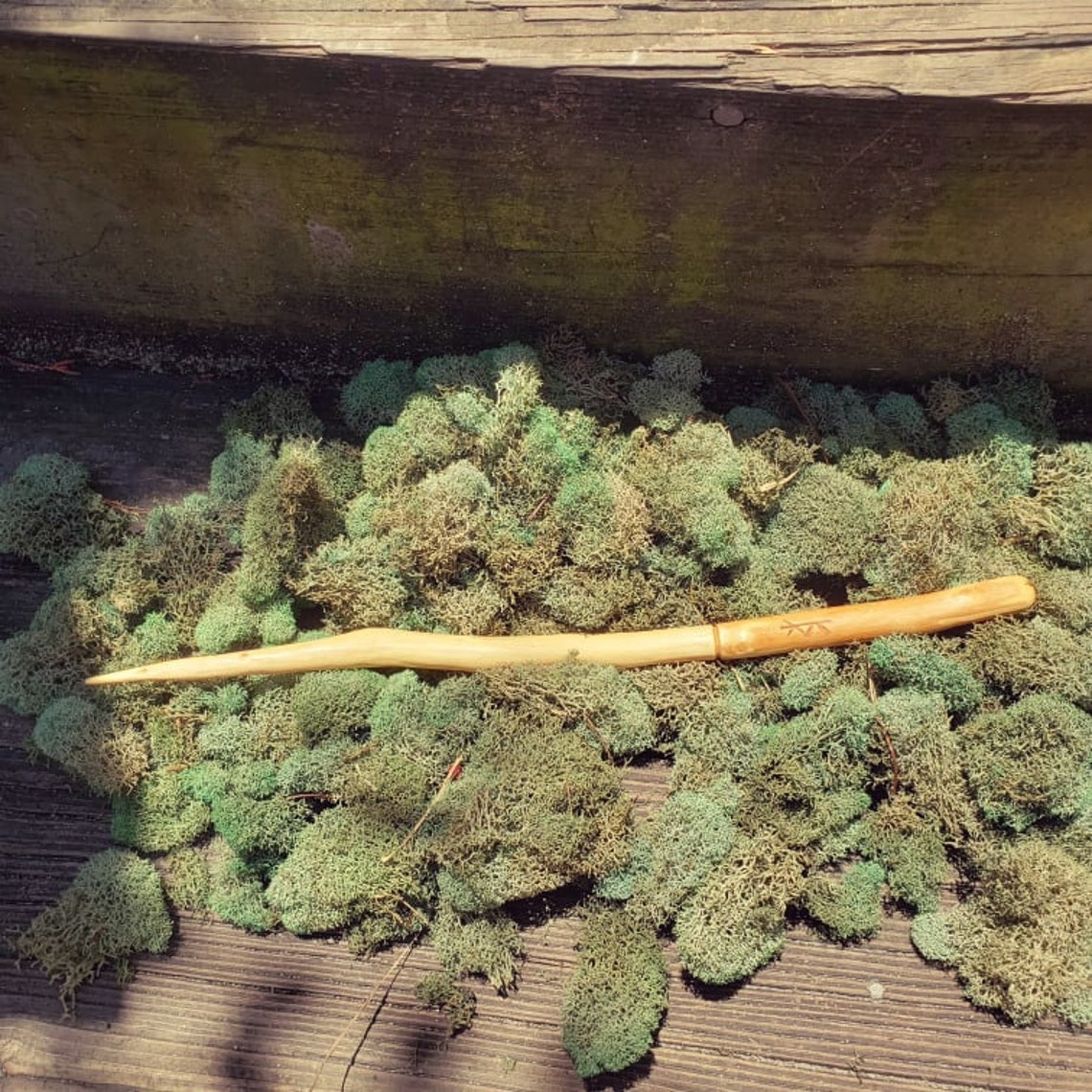 Cypress Wand Cypress Moon Etsy