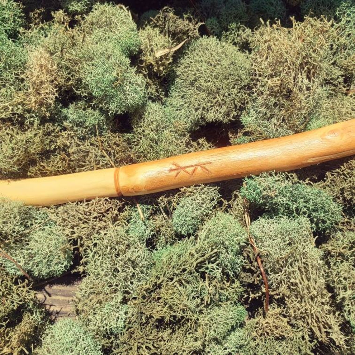 Cypress Wand Cypress Moon Etsy