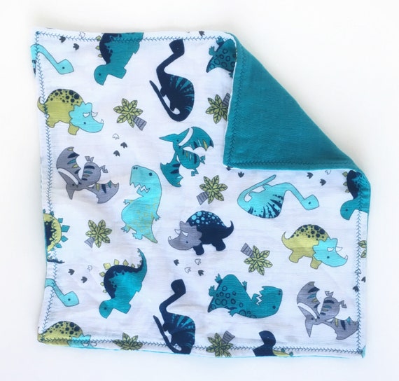 dinosaur security blanket