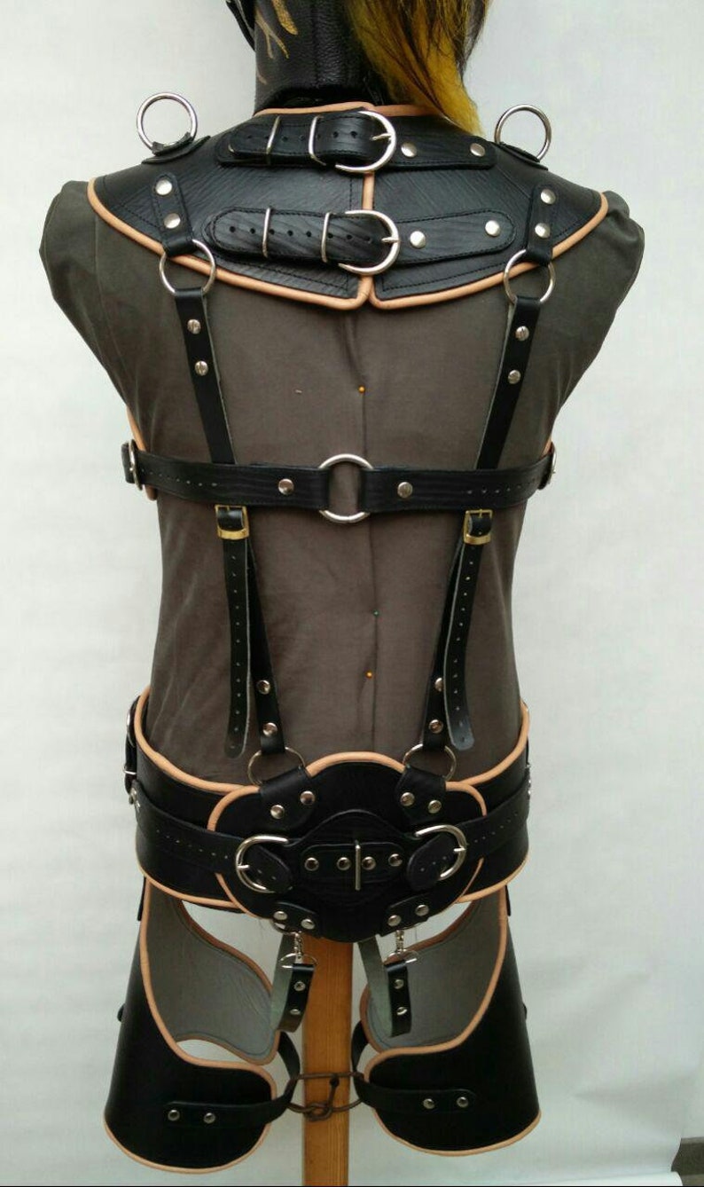 Horse Harness Etsy
