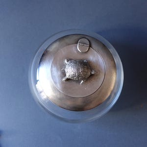 May include: A silver glass jar with a silver lid featuring a turtle design. The lid has a hinged opening.