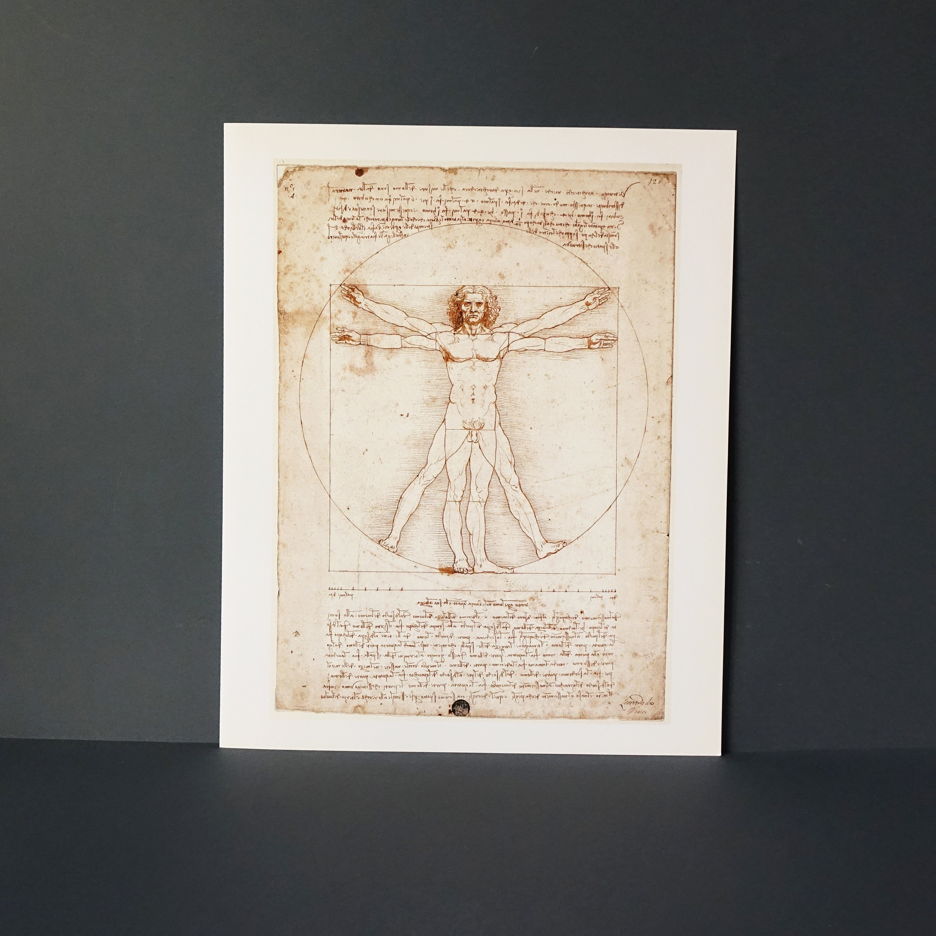The Vitruvian Man - Leonardo da Vinci drawing - Fine Art quality art poster - 300g paper