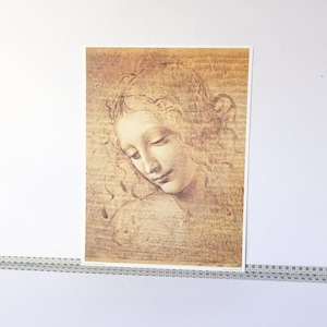 set di 3 stampe di Leonardo alta qualità  "testa di giovinetta"  " la scapigliata " " Elisabetta d'Oriente " di Leonardo da Vinci - anni 80