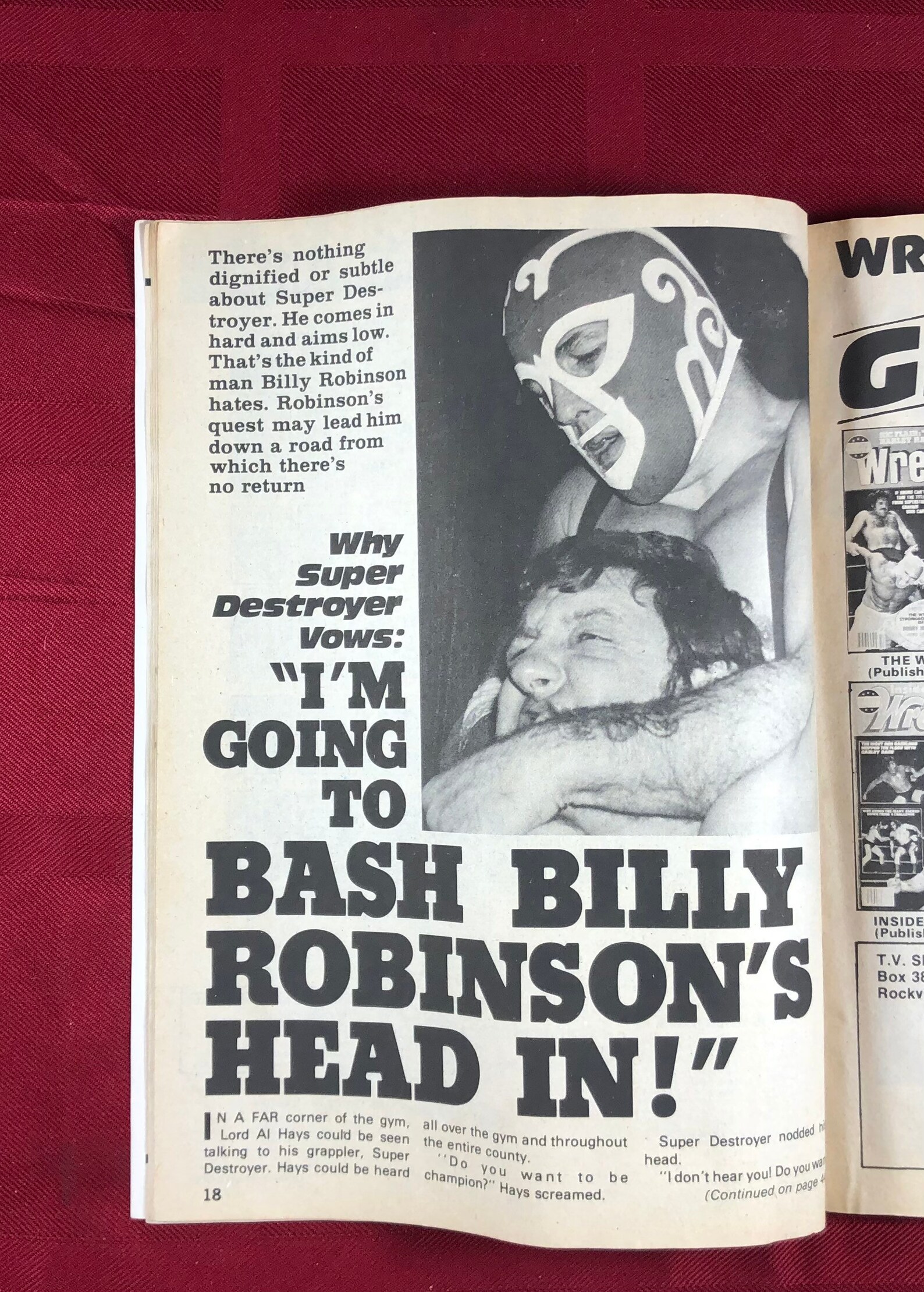 [Letter3 5] Vintage Apartment Wrestling - h3137dc