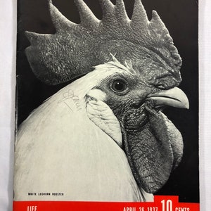 April 26 1937 Life Magazine White Leghorn Rooster on Cover Vintage Lou Gehrig Ad Issue Original Great Birthday Gift Idea Birth Year