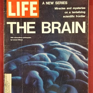 October 1 1971 Life Magazine A New Series The Brain Cover Vintage Original Great Birthday Gift Idea