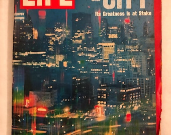 May 14 1965 Life Magazine the Craze and the Menace of Skateboards