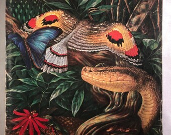 September 20 1954 Life Magazine The Teeming Rain Forest of the Tropics on Cover Vintage Original Great Birthday Gift Idea