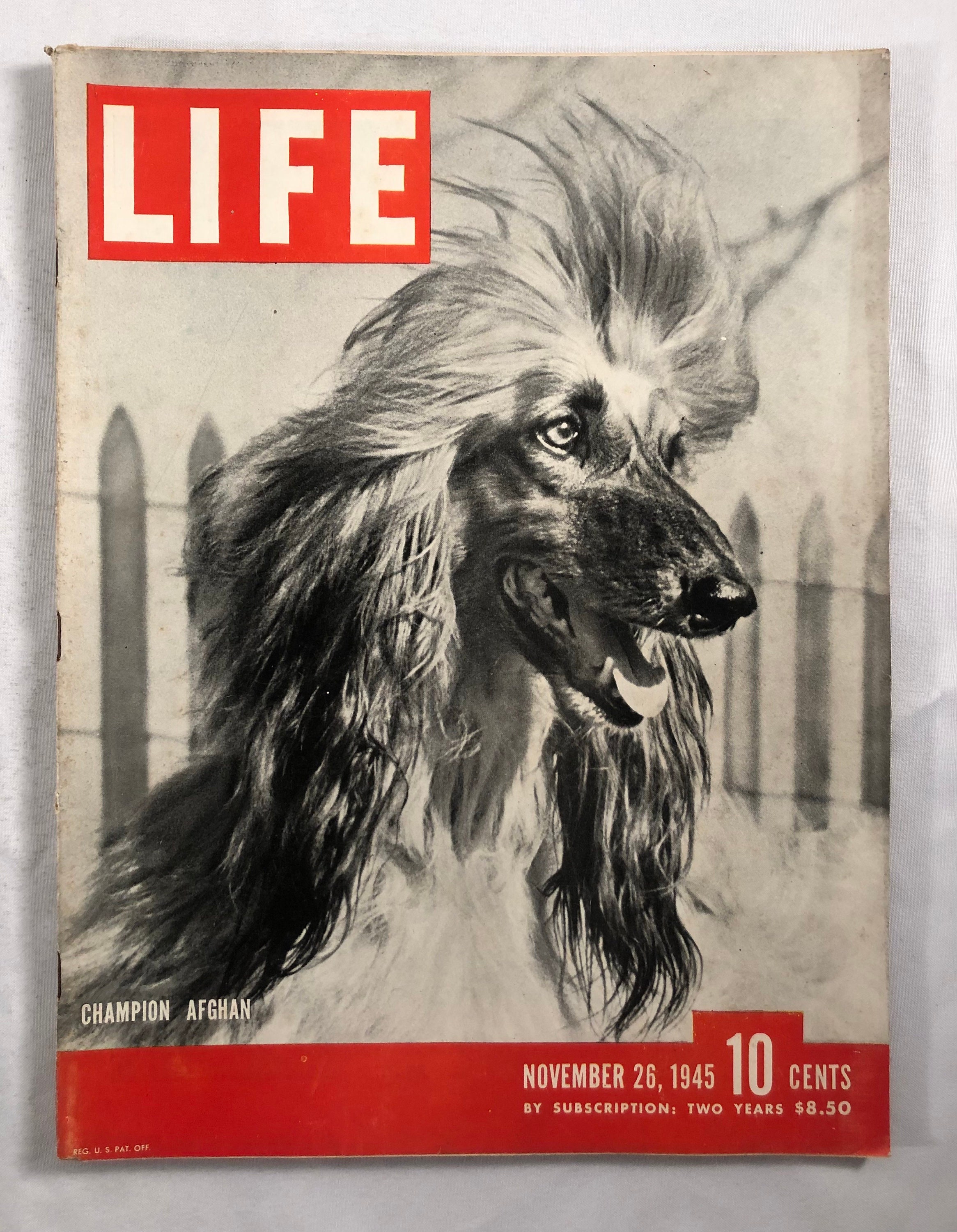 26 de noviembre de 1945 Revista Life Perro afgano campeón en