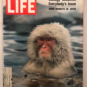 Life Magazine January 30, 1970 - Etsy