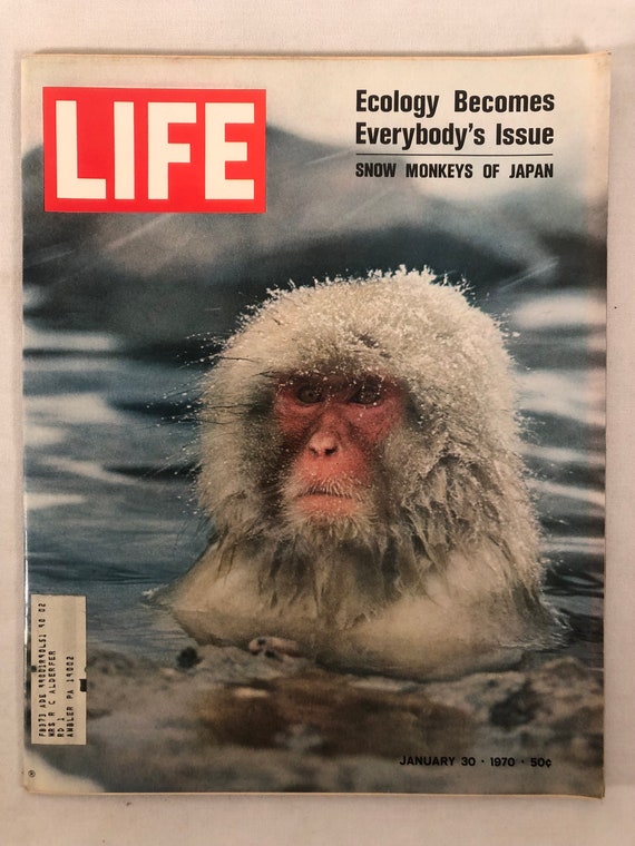 January 30 1970 Life Magazine Snow Monkeys of Japan Cover Vintage