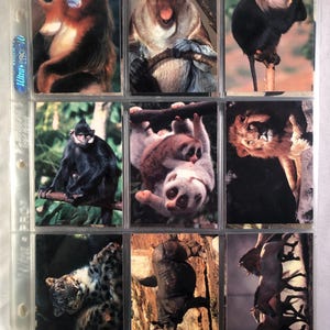 Cardz San Diego Zoo, conjunto completo de 110 cartas colecionáveis de 1993 com 9 páginas de bolso, vintage, original, ótima ideia para presente