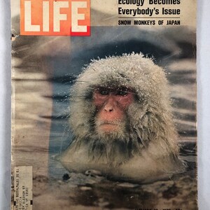 Life Magazine January 30, 1970 - Etsy