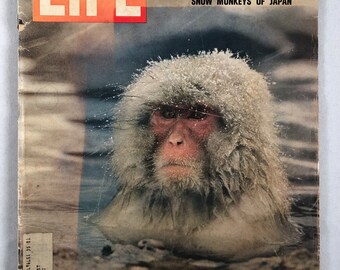 Life Magazine January 30, 1970 - Etsy