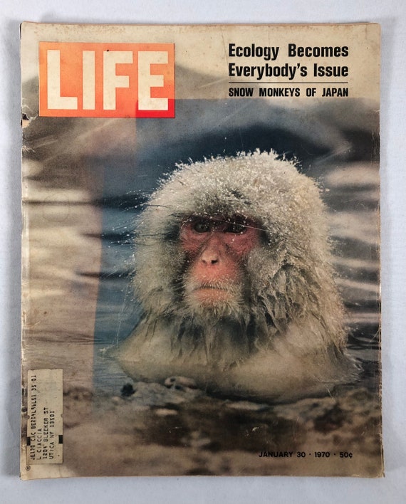 January 30 1970 Life Magazine Snow Monkeys of Japan Cover Vintage