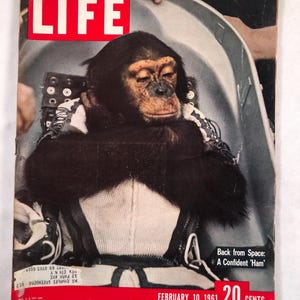 May include: LIFE magazine cover featuring a chimpanzee in a space capsule. The cover has a red banner with the text "FEBRUARY 10, 1961" and "20 CENTS". The headline reads "Back from Space: A Confident 'Ham'".