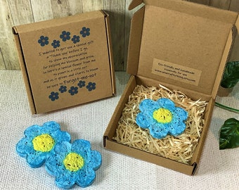 Teacher gift, forget me not seed bomb, end of term, farewell gift, Thank you teacher, nursery gift, eco friendly