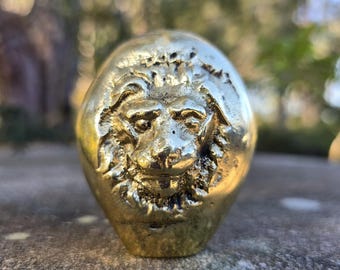 Brass Lionhead pommel