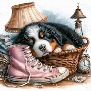 Berner Sennenhund Hound Welpe schlafend druckbare 12 Poster Aufkleber Schmuck Tshirt Geschenk Handwerk Karte Digital ClipArt Andere Rassen On Demand
