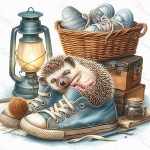 Hérisson Hoglet bébé dessin animé chiot dormir imprimable 12 affiche autocollant bijoux tshirt cadeau artisanat carte numérique vintage clip art
