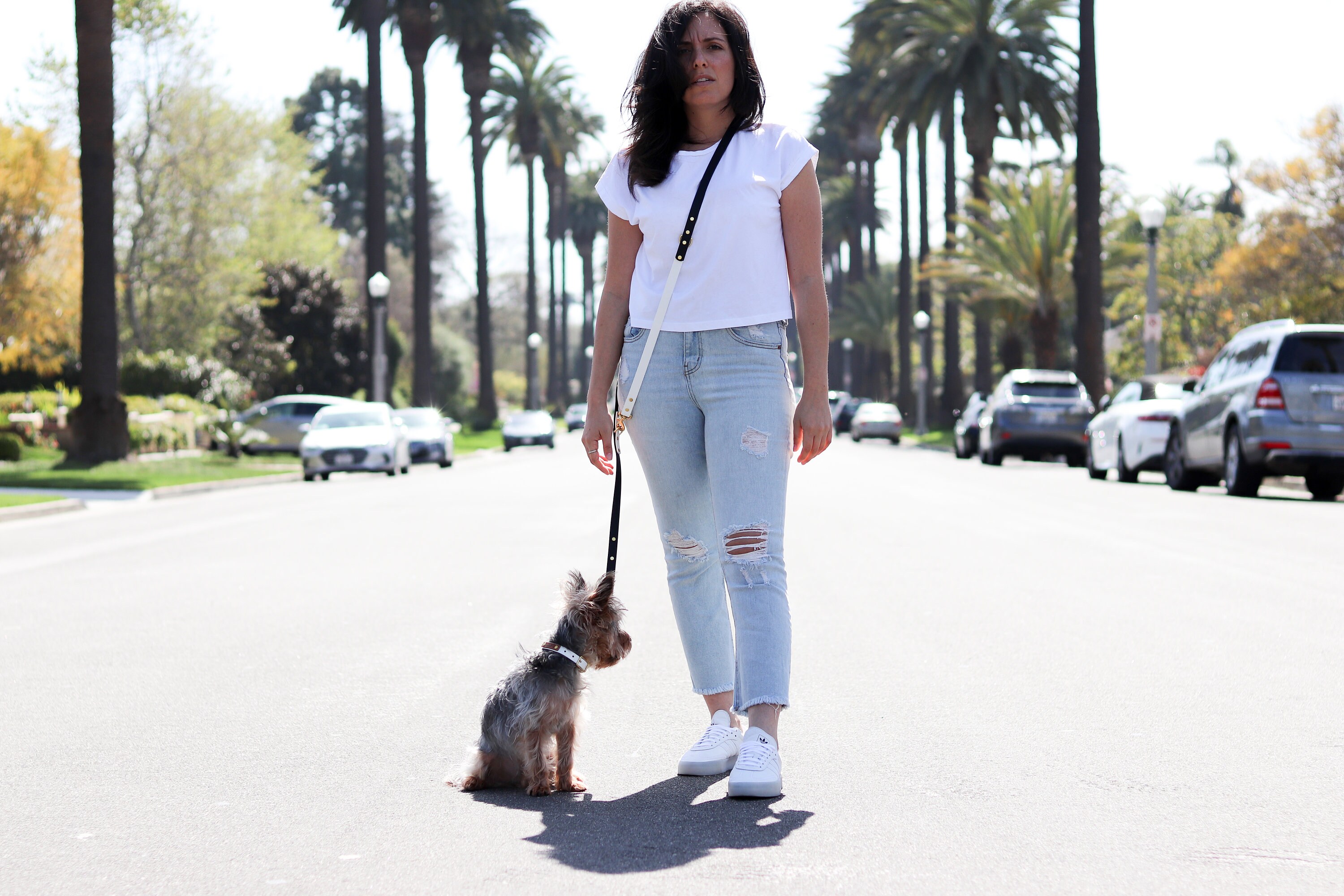 petco handsfree leash petco handsfree leash