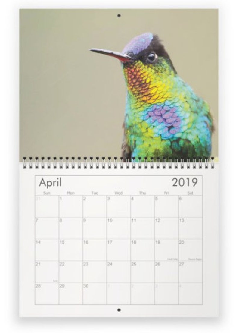 Hummingbirds in the Wild Calendar Etsy