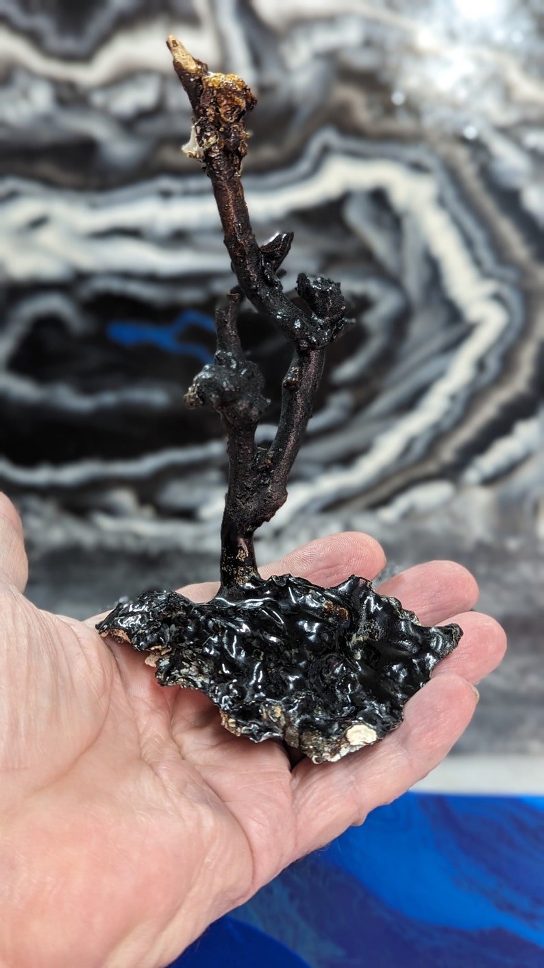Artisan Hawaiian Black Coral Natural Display Made With Genuine, Vintage, Rare, Hawaiian Black