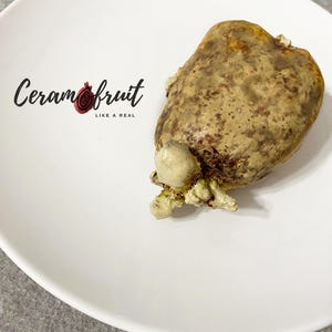 May include: A ceramic fruit sculpture with a textured, mottled surface in shades of brown and tan, resting on a white plate. The sculpture has a bulbous shape with a small, light-colored base. The plate has the text "Ceramfruit" and "LIKE A REAL" in black.