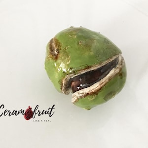 Puede incluir: Una fruta de cerámica verde, parcialmente abierta para revelar un interior oscuro. La fruta está sobre una superficie blanca. El texto "Ceramfruit" se muestra en cursiva, con el lema "LIKE A REAL" debajo.