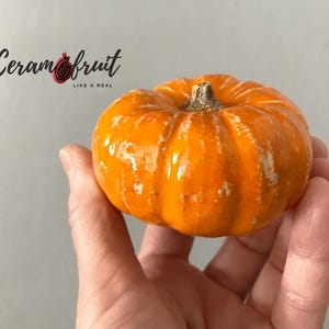 Könnte beinhalten: Ein kleiner, orangefarbener Kürbis mit strukturierter Oberfläche wird in einer Hand gehalten. Der Kürbis hat einen braunen Stiel und ist vor einem hellgrauen Hintergrund platziert. Der Text "Ceramfruit LIKE A REAL" befindet sich in der oberen linken Ecke.
