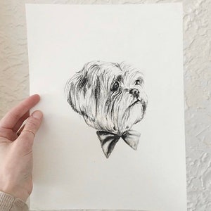 Custom Charcoal Pet Portrait
