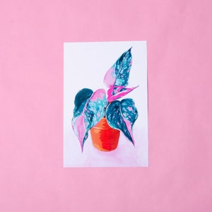 Pink Princess Philodendron Gouache Art Print — 6x9&quot;