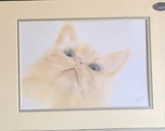 Original Pastell Katzenbild ( Neu Fertig zum Rahmen ) Großartig