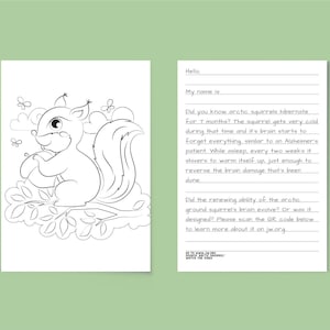 May include: A black and white coloring page featuring a cartoon squirrel sitting on a branch with a nut in its paws. The page includes text about arctic squirrels and their hibernation habits. The text mentions that the squirrels' brains go through a period of memory loss similar to Alzheimer's disease, but they recover their memories during the summer months.