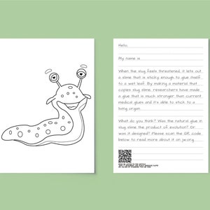 El limo adhesivo de la babosa: ¿fue diseñado? - Escritura de cartas para niños JW