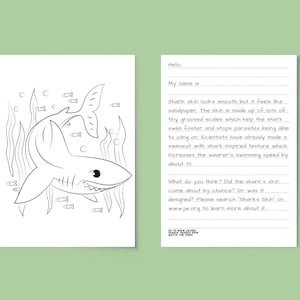 The Sharks Skin - Was it Designed? - JW Kids Letter Writing
