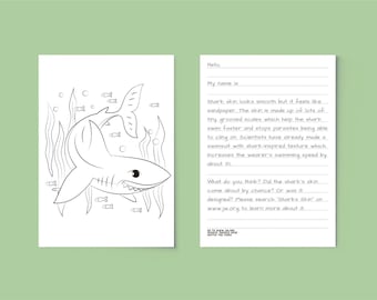 The Sharks Skin - Was it Designed? - JW Kids Letter Writing