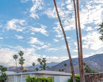 Palm Springs Midcentury Modern Home Architectural Fine Art Print Various Sizes
