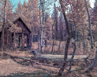 Lake Tahoe Shack Architectural Fine Art Print Various Sizes