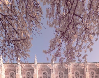 Holy Rosary Cathedral Gothic Architectural Fine Art Print Various Sizes