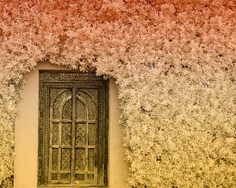 The Door Palm Springs Architectural Fine Art Print Various Sizes