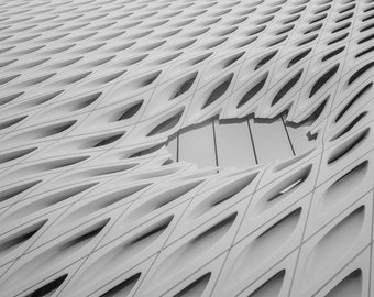 The Broad Museum Los Angeles Modern Architectural Fine Art Print Various Sizes