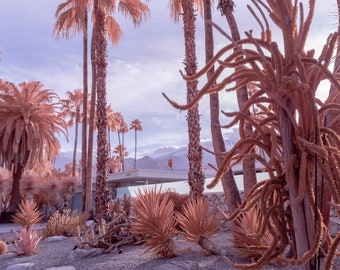 Palm Springs Mid-Century Modern Landscape Architectural Fine Art Print Various Sizes