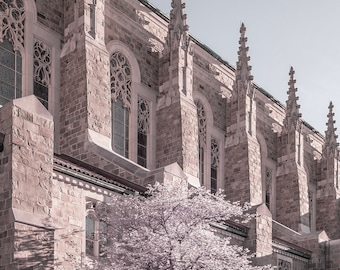 Holy Rosary Cathedral Gothic Architectural Fine Art Print Various Sizes