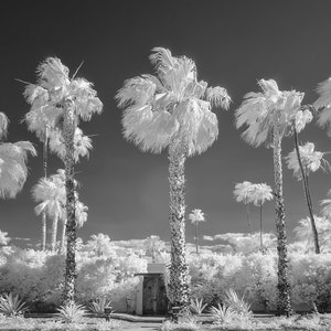 Palm Springs Modernist Icon Midcentury Modern Architectural Fine Art Print Various Sizes