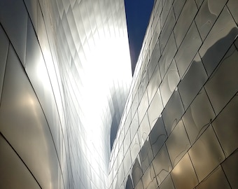 Los Angeles Concert Hall Modern Architectural Fine Art Print Various Sizes