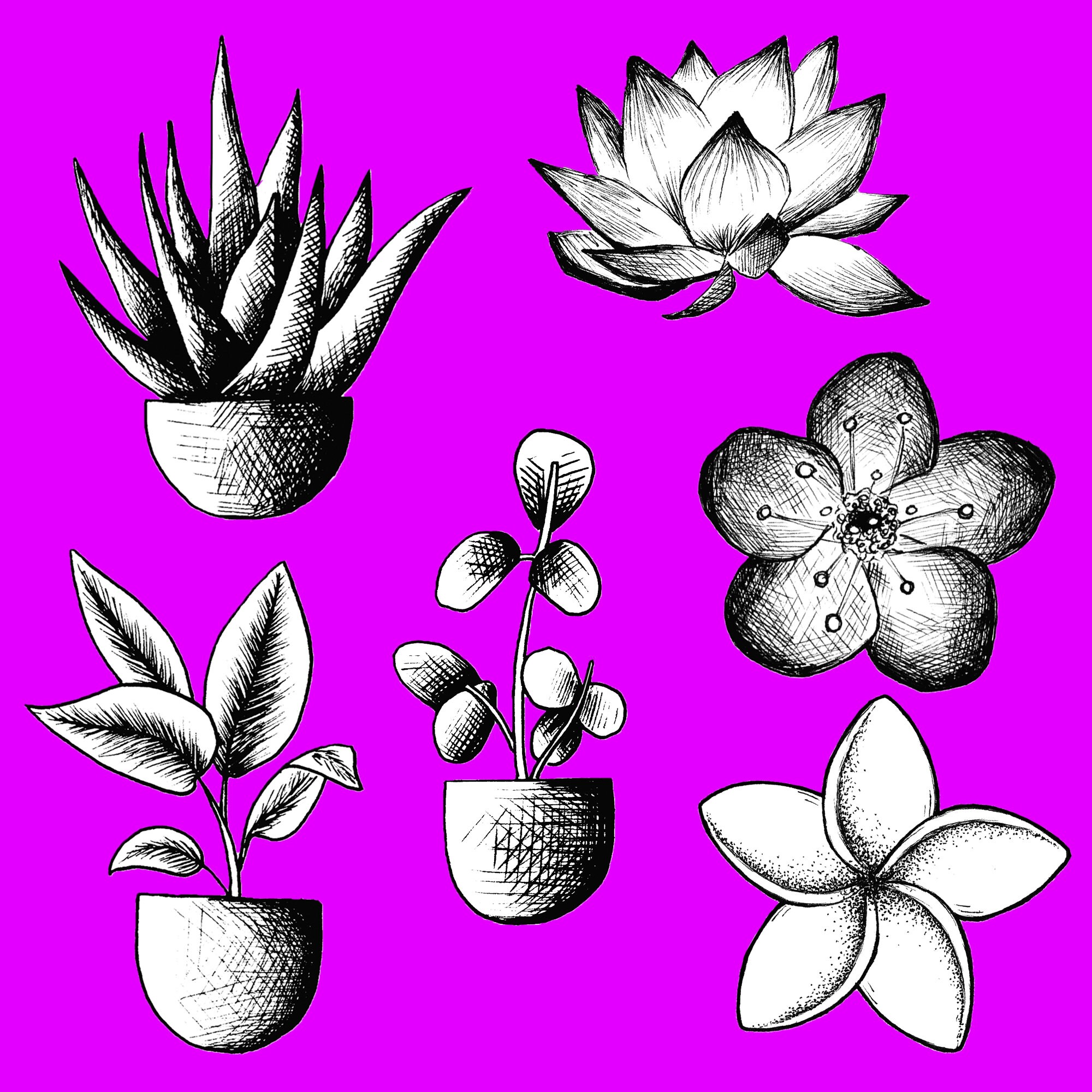 Plant Stickers Set 01 Set of 6 Black and white | Etsy