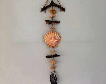 Shell Wall Hanging, Seashell Hanging, Coastal Decor, Shell Art, Wall Art